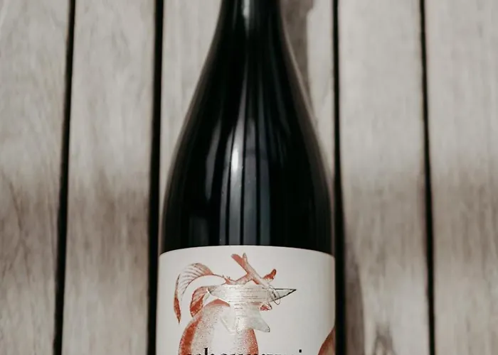 Zum Dorfschmied ホテル 3*